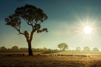 怎樣讓工業過濾布的功能發揮極致?